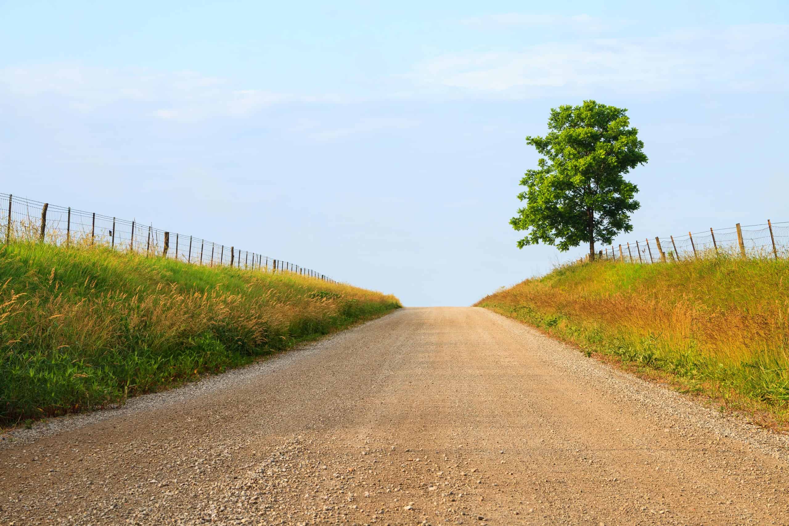 Gravel road with tree in the distance