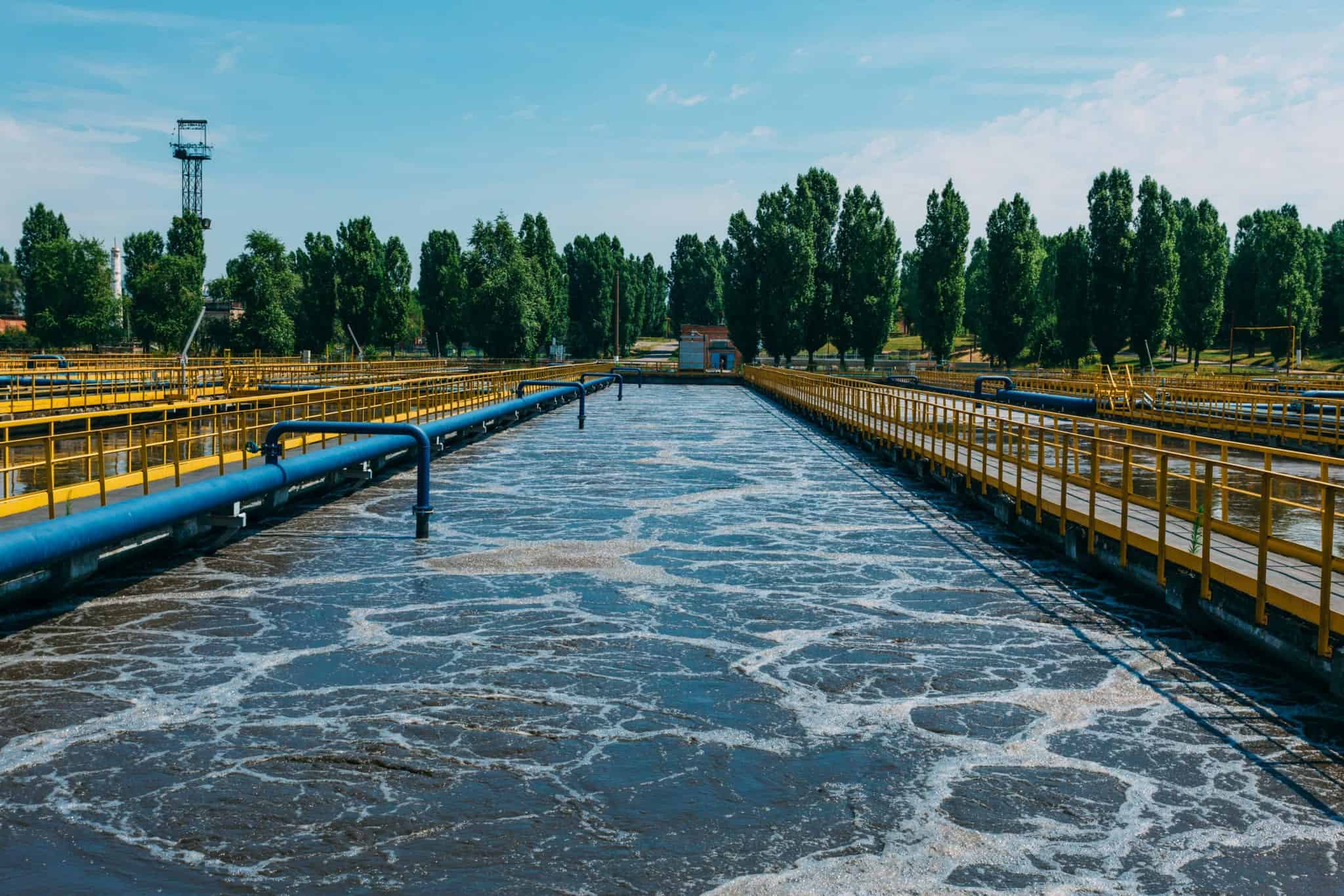 Wastewater Bioaugmentation